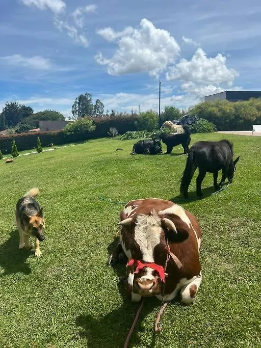 Luxurious Farm House Rionegro 0*,  Colombia