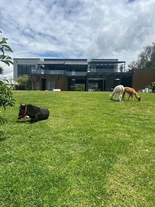 Luxurious Farm House Rionegro